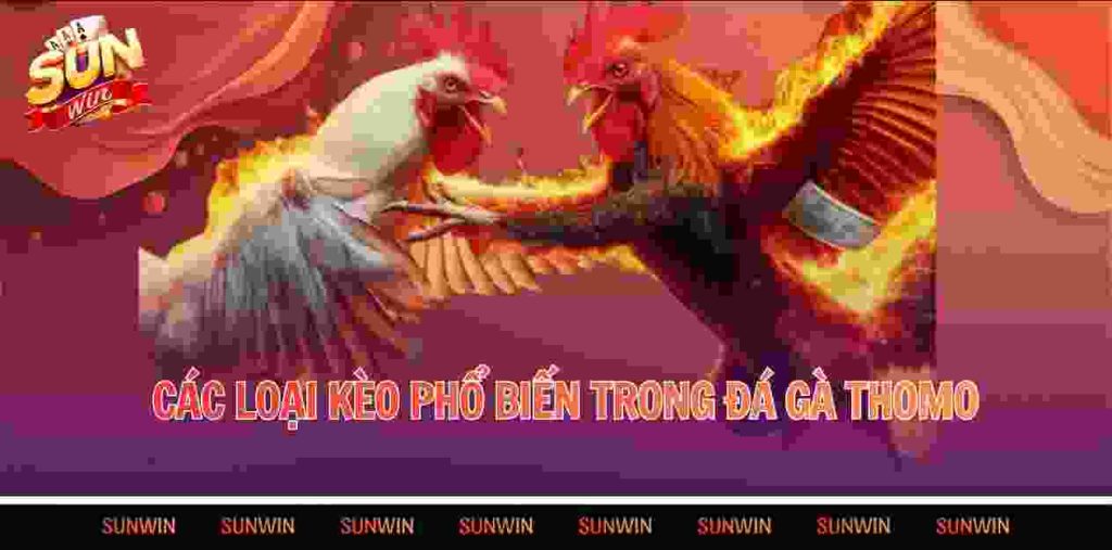 Các loại kèo phổ biến trong đá gà Thomo